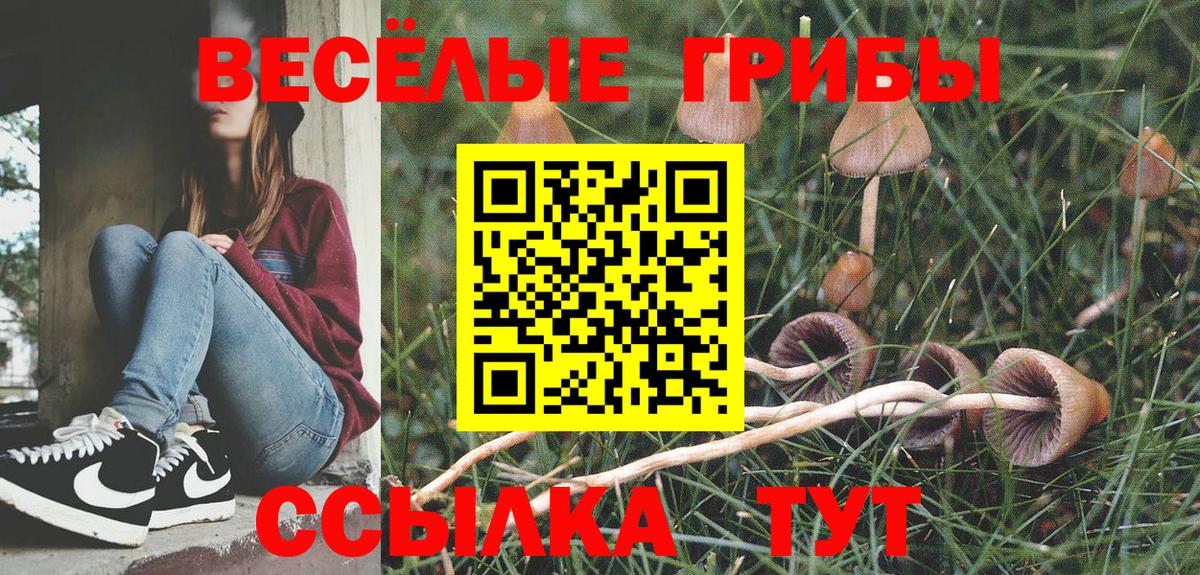 Галлюциногенные грибы Psilocybine cubensis Великий Новгород